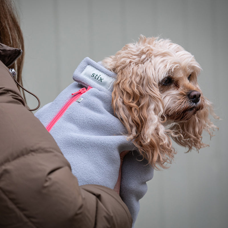 Cavapoo Four Legged Dog Coat