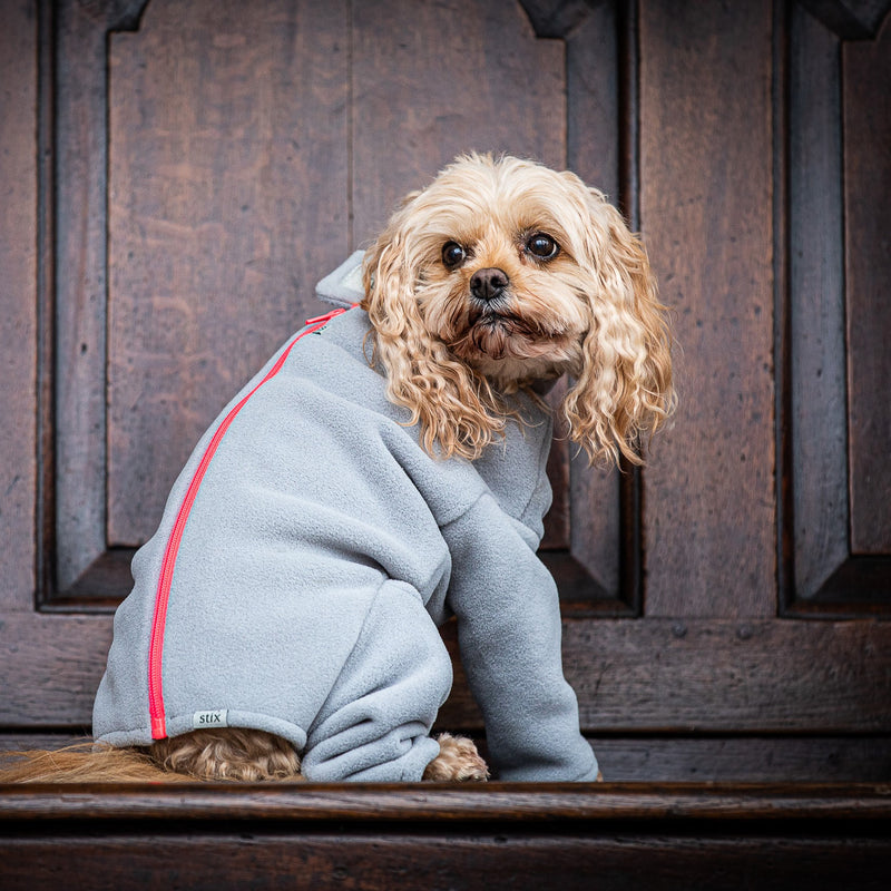 Cavapoo Four Legged Dog Coat