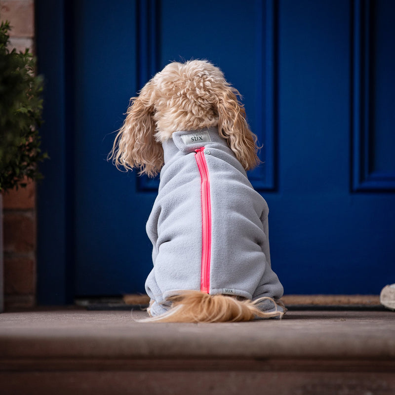 Cavapoo Four Legged Dog Coat