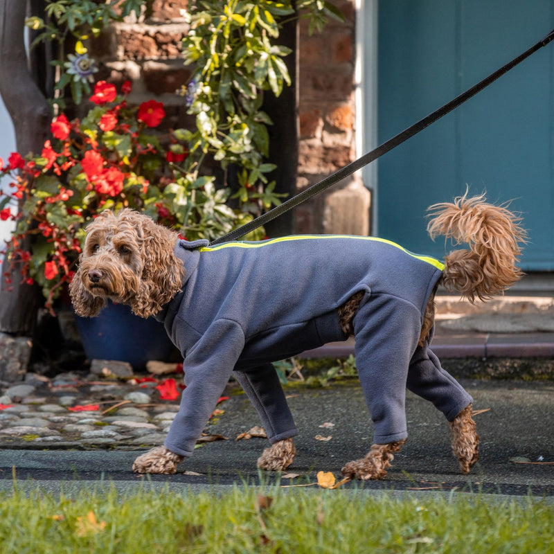 Cockapoo Four Legged Dog Coat