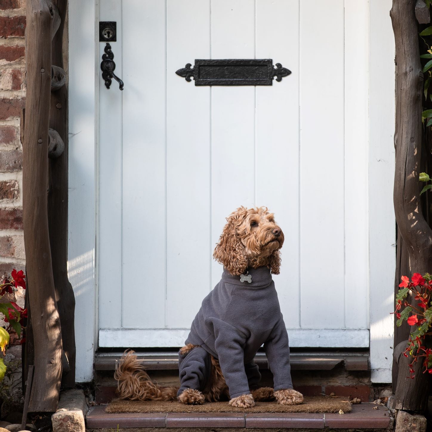 Cockapoo Four Legged Dog Coat Stix and Co