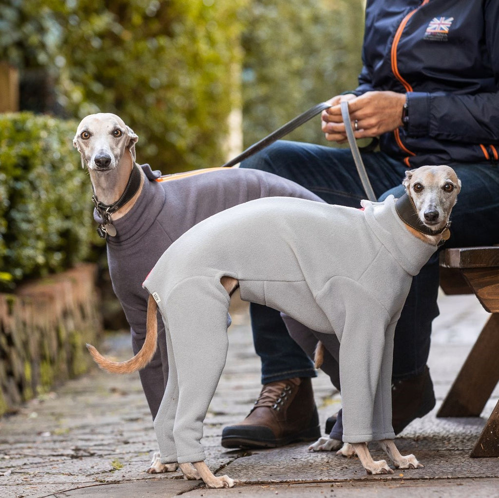 Whippet Four Legged Dog Coat – Stix and Co - Main Image