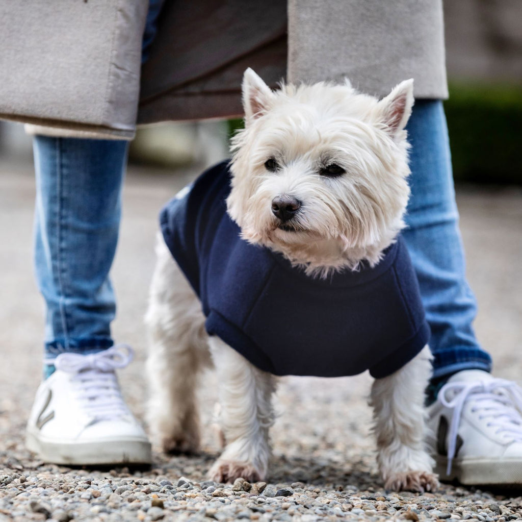 Westie Dog Coat – Stix and Co - Main Image