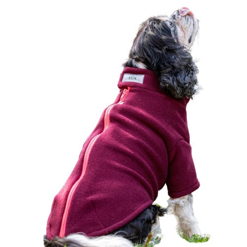 King Charles Spaniel Dog Coat