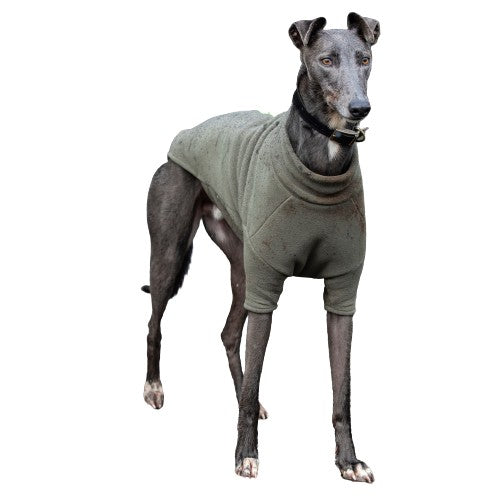 Greyhound Dog Coat