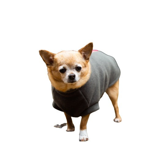 Chihuahua Dog Coat