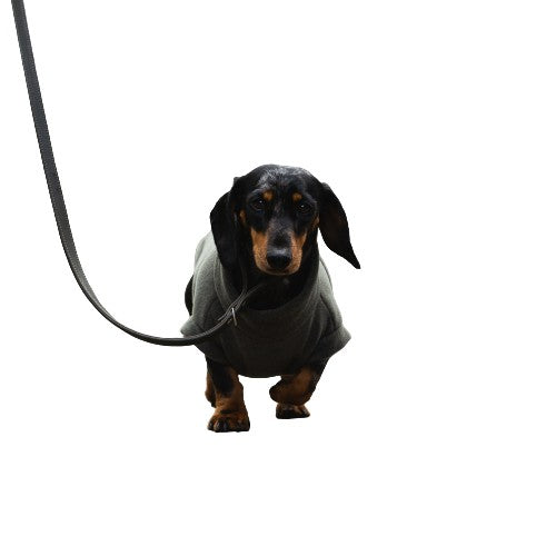 Dachshund Dog Coat