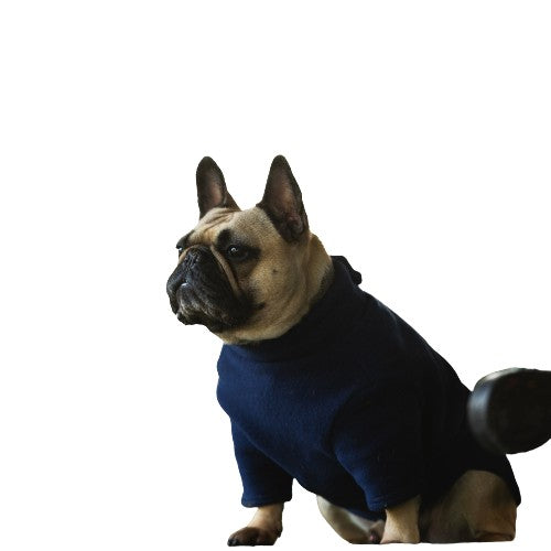 French Bulldog Dog Coat