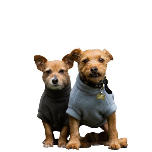 Small Terrier Dog Coat