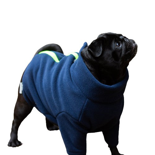 Pug Dog Coat