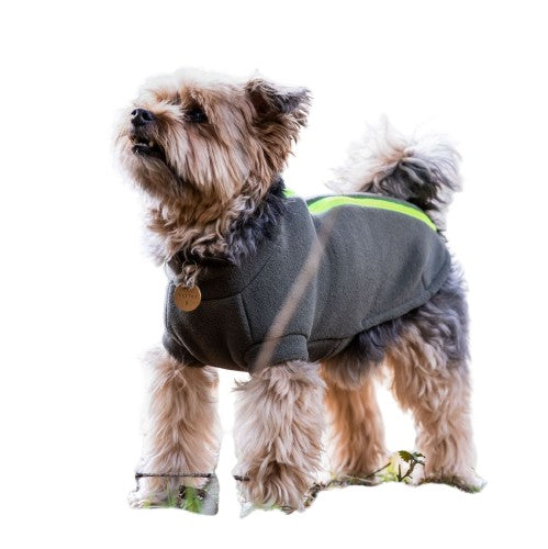 Yorkshire Terrier Dog Coat