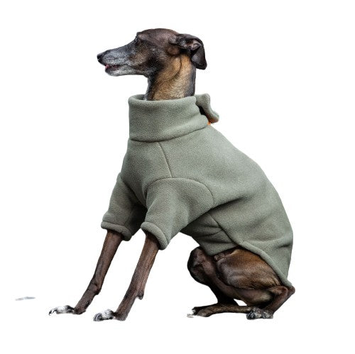 Italian Greyhound Dog Coat