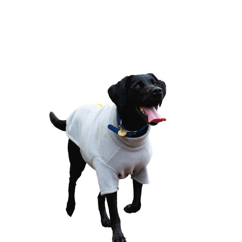 Labrador Dog Coat