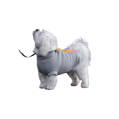 Dog Coats for Maltese | Dog Coats by Stix and Co.