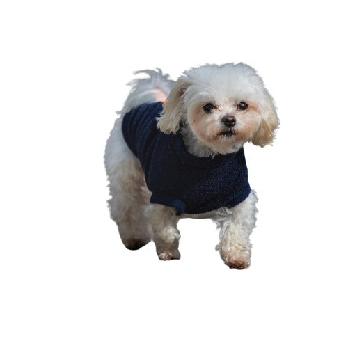 Maltipoo Dog Coat