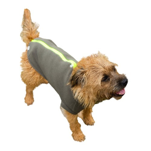 Large Terrier Dog Coat