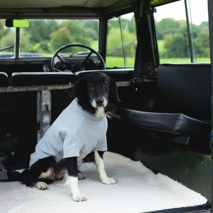 Border Collie Dog Coat